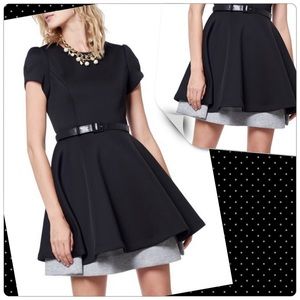 Lined Gracia Scuba Fit and Flare Dress